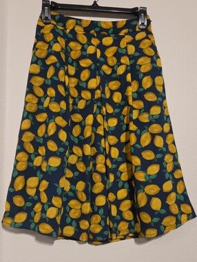 THE LIMITED SKIRT